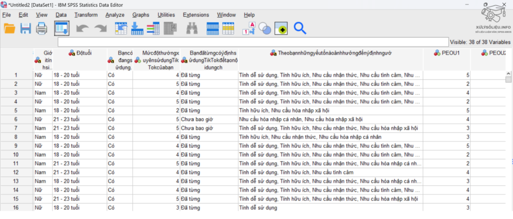 1.Mo Tap Du Lieu Trong Spss E1720178635909