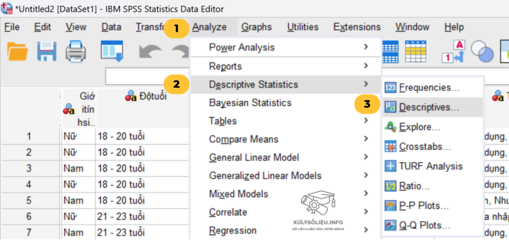 2.Nhap Chon Analyze Descriptive Statistics Descriptives E1720178680102