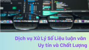 Dịch vụ Xử Lý Số Liệu luận văn - Uy tín và Chất Lượng