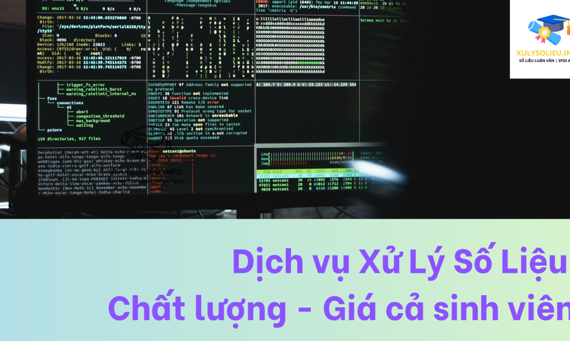 Dịch vụ Xử Lý Số Liệu Chất lượng - Giá cả sinh viên