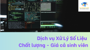 Dịch vụ Xử Lý Số Liệu Chất lượng - Giá cả sinh viên