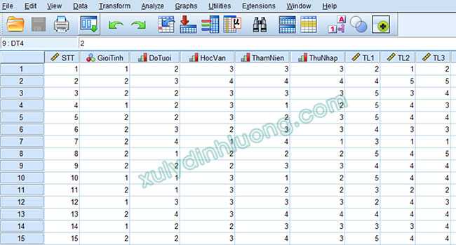 Hướng dẫn SmartPLS 4 cơ bản: Quy trình tạo vùng làm việc Workspace 6