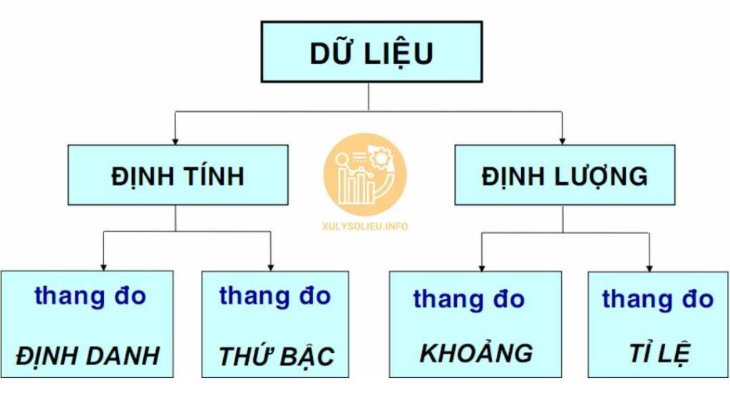 Biến định tính và biến định lượng là gì? Phân biệt và ứng dụng trong xử lý dữ liệu Biến định tính và biến định lượng là gì 1