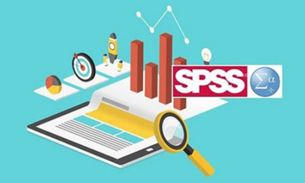 Dịch Vụ Hỗ Trợ Spss Uy Tín, Chuyên Nghiệp Từ Xử Lý Số Liệu