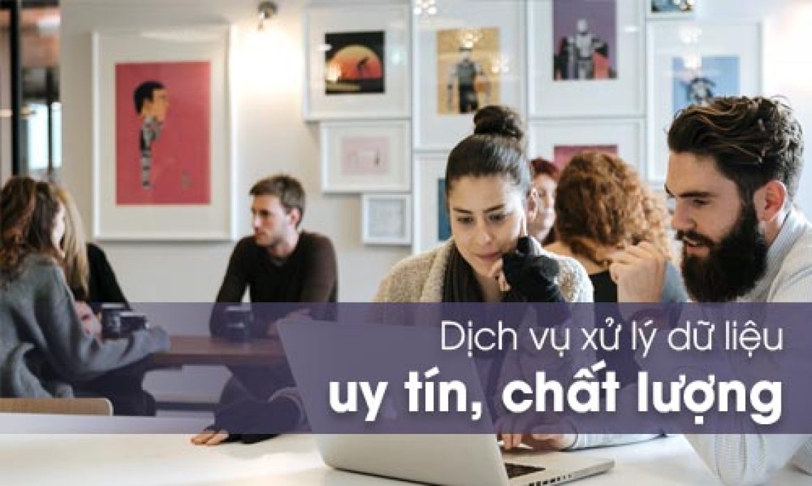 Dịch vụ xử lý dữ liệu uy tín, chất lượng – xulysolieu.info