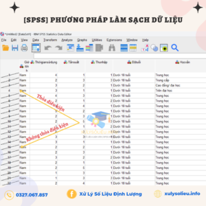 Lam Sach Du Lieu Bang Spss 11