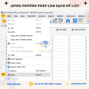 Lam Sach Du Lieu Bang Spss 3