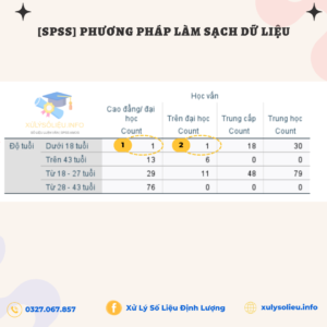 Lam Sach Du Lieu Bang Spss 6