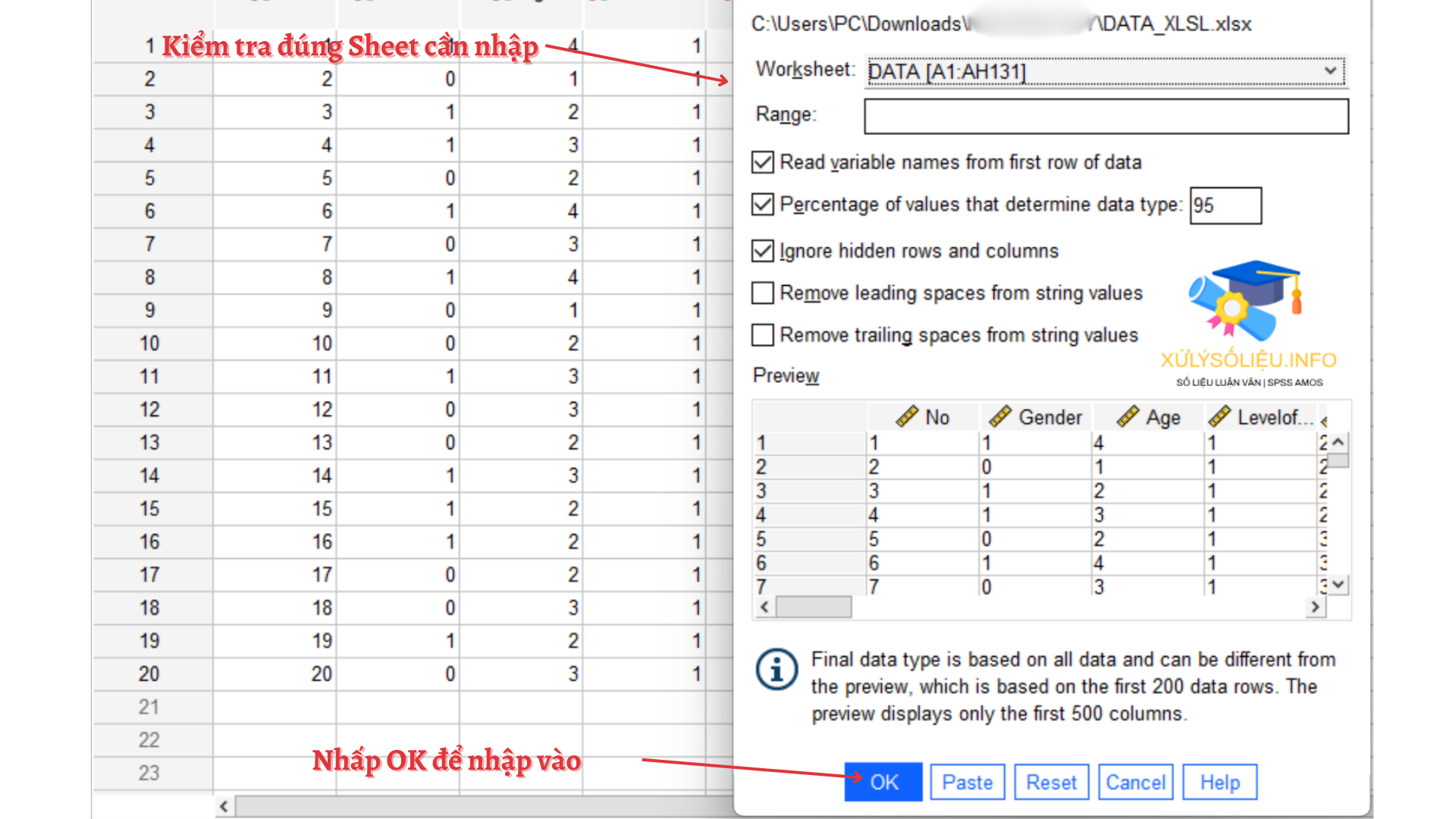 Đọc tập tin dữ liệu vào SPSS từ nguồn khác 3