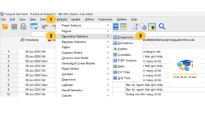 2.Chon Analyze Descriptive Statistics Frequencies