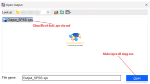 5.Mo Tap Du Lieu Da Duoc Luu Tru Dang Spss Spv 2