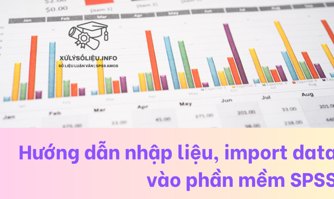 Hướng dẫn nhập liệu, import data vào phần mềm SPSS