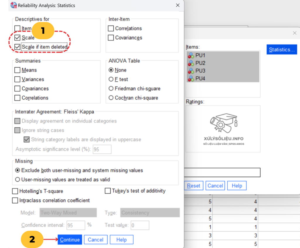 3.Chay Cronbachs Alpha Tren Spss 3 E1721114795354