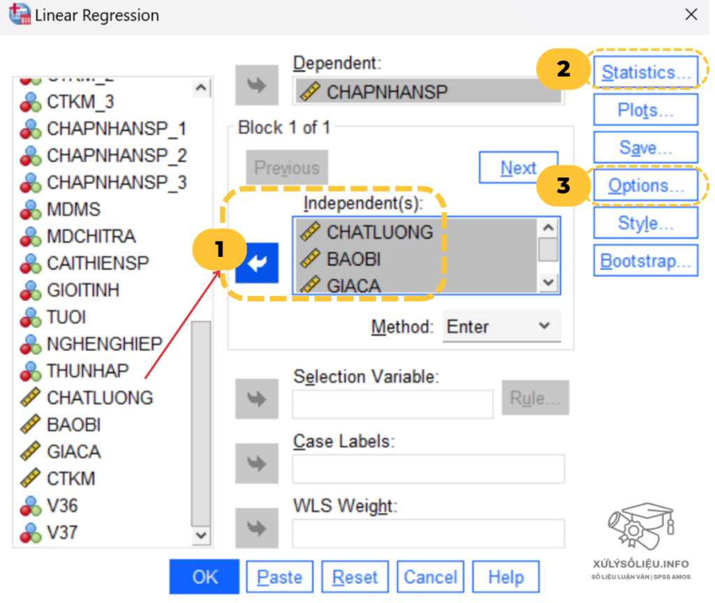 Phan Tich Hoi Quy Da Bien Spss 4 E1720698248638