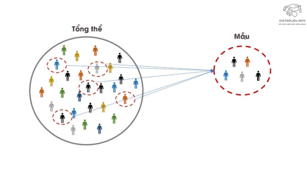 8 Thuat Ngu Thong Ke Quan Trong Trong Nghien Cuu Khoa Hoc Luan Van 1