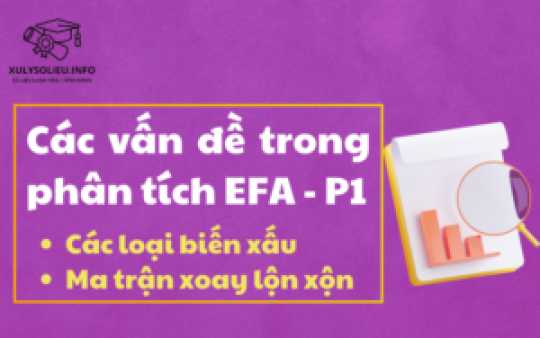 Các Vấn Đề Trong Phân Tích Efa - P1