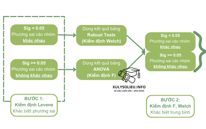 Quy Trình Đọc Kết Quả Anova