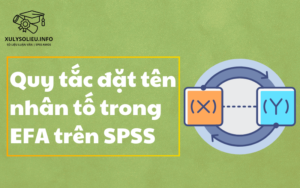 Quy tắc đặt tên nhân tố trong EFA trên SPSS