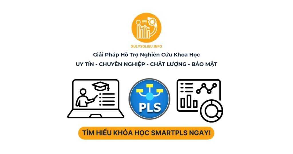 KHÓA HỌC SMARTPLS - XỬ LÝ SỐ LIỆU