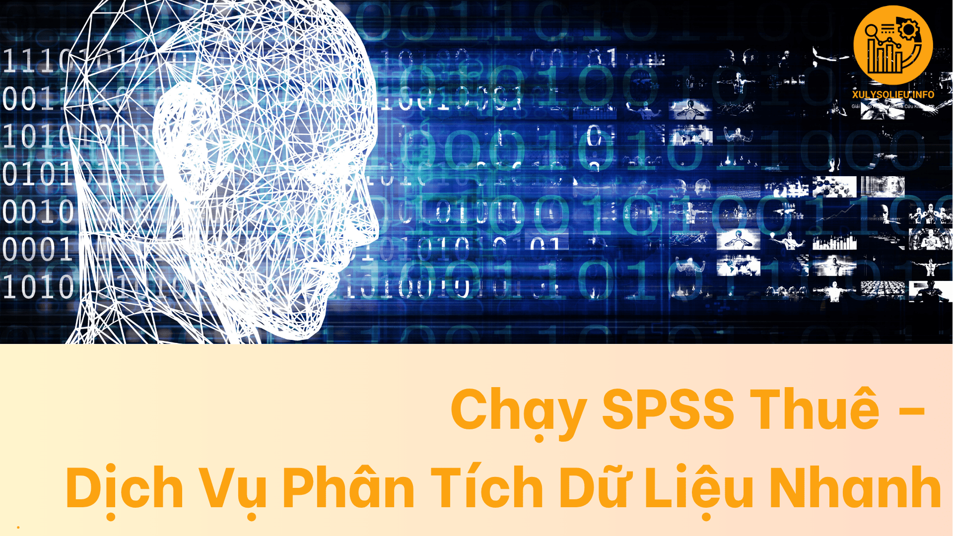 chạy spss thuê