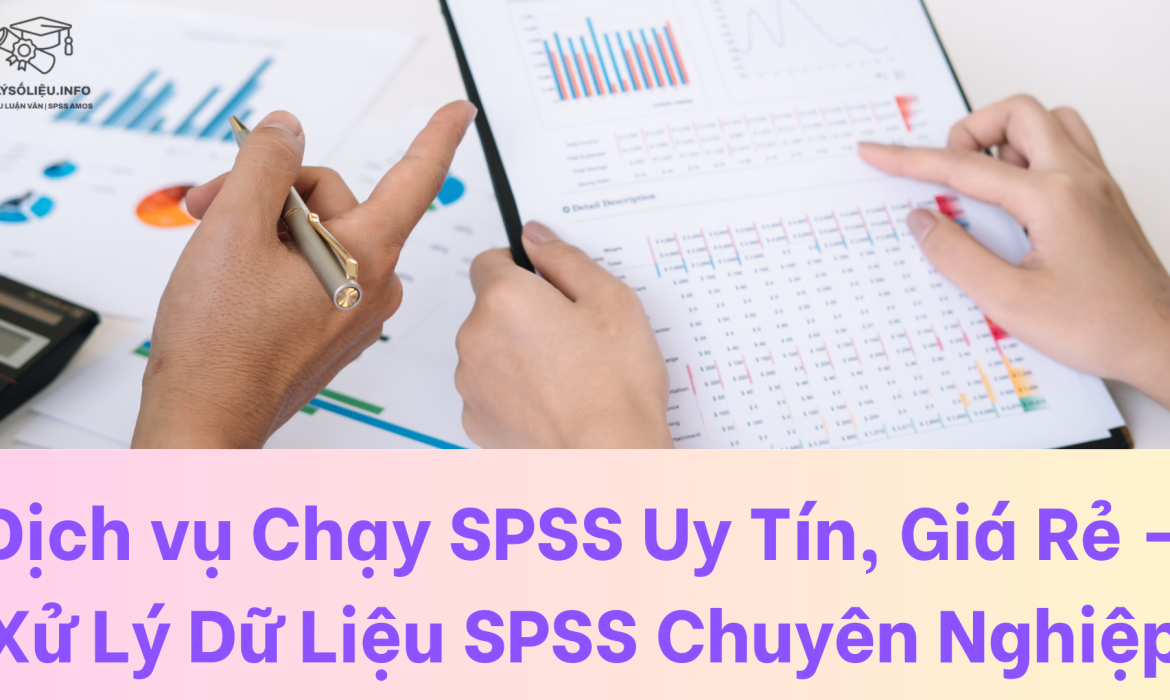 dich-vu-chay-spss