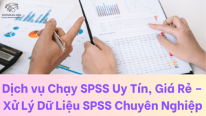 dich-vu-chay-spss