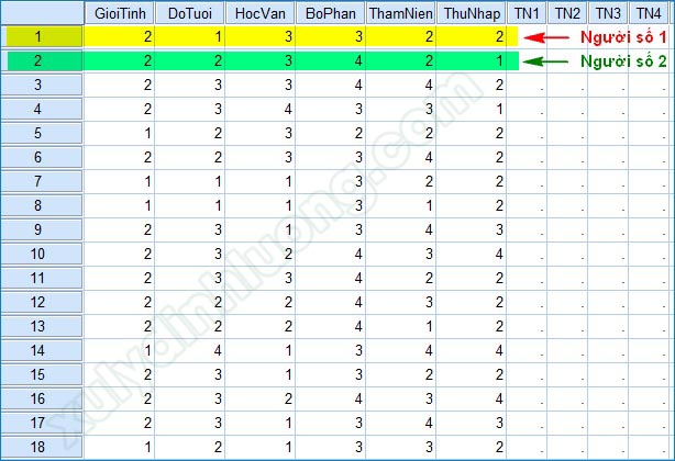 Thực hành SPSS - Hướng dẫn chi tiết để thành thạo phân tích dữ liệu