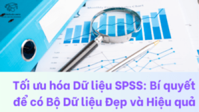 tối ưu hóa dữ liệu spss