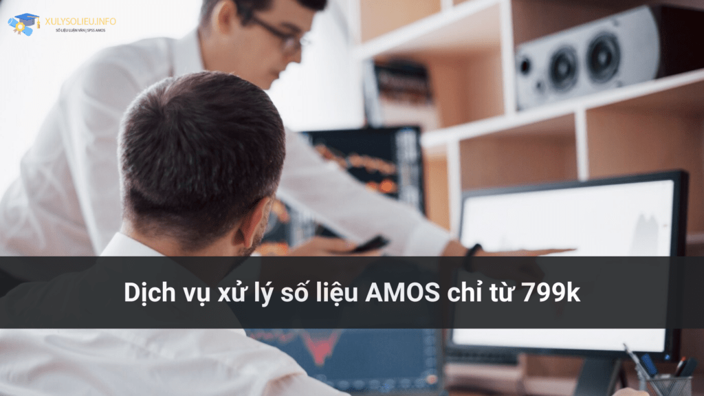 dịch vụ xử lý số liệu amos