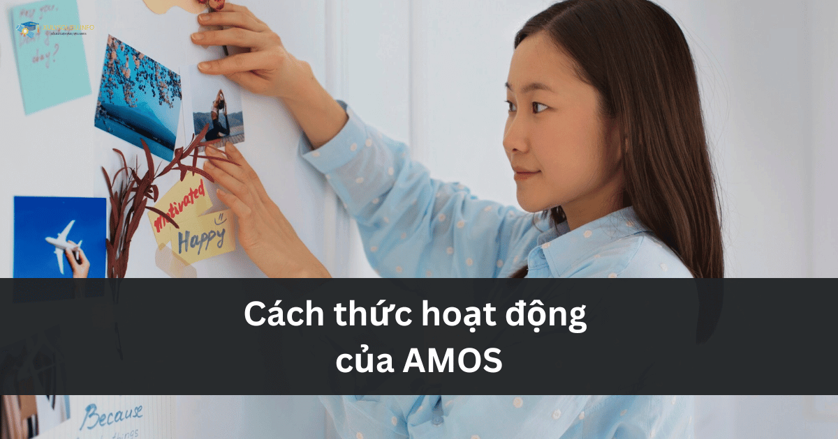 Cách thức hoạt động của AMOS