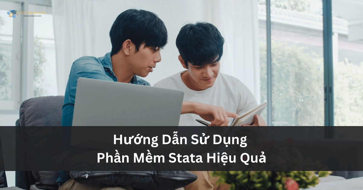 Hướng Dẫn Sử Dụng Phần Mềm Stata