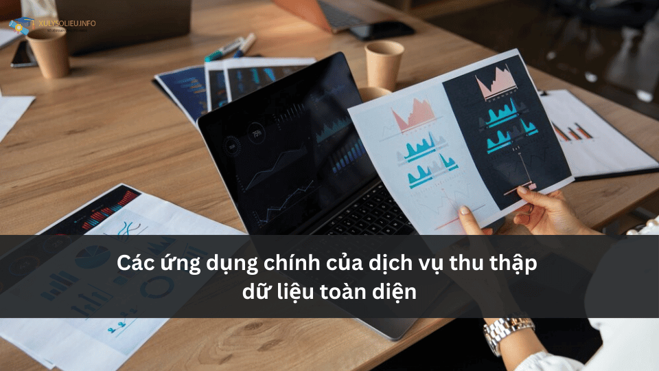 DỊCH VỤ TRỌN GÓI THU THẬP DATA