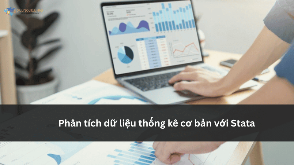 Hướng dẫn sử dụng Stata - Từ cơ bản đến nâng cao cho người mới hướng dẫn sử dụng Stata