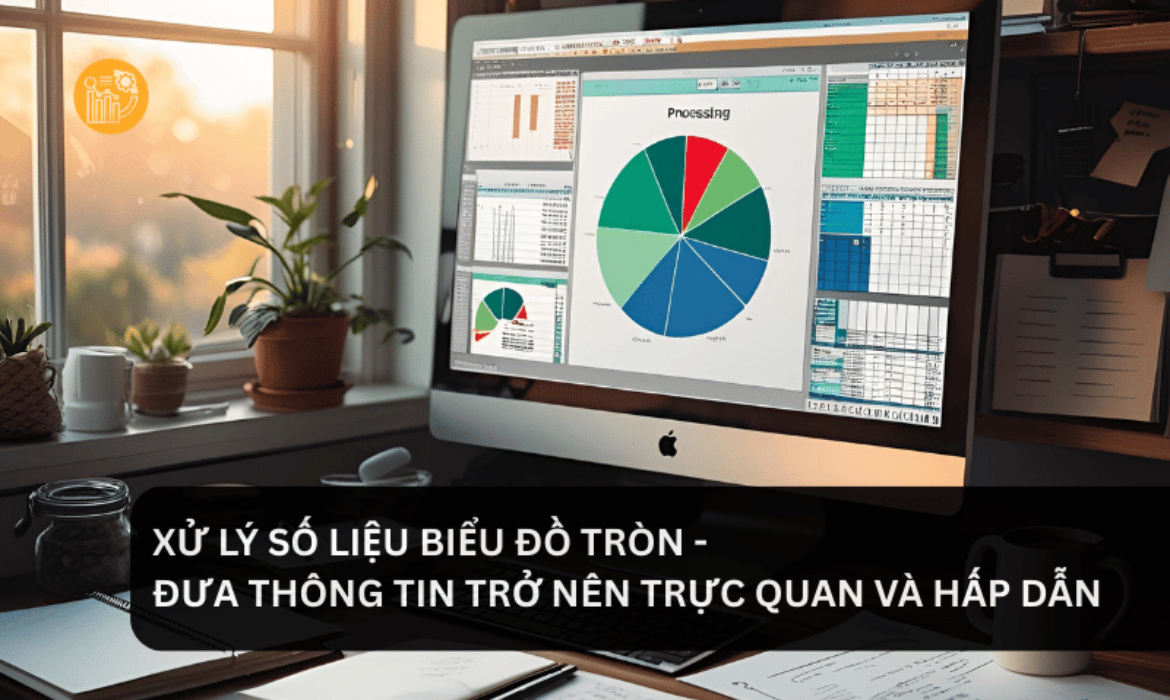 xử lý số liệu biểu đồ tròn