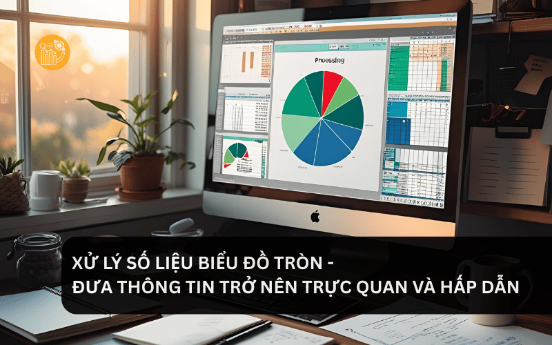 xử lý số liệu biểu đồ tròn