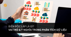 Biến Độc Lập Là Gì_ Vai Trò & Ý Nghĩa Trong Phân Tích Dữ Liệu