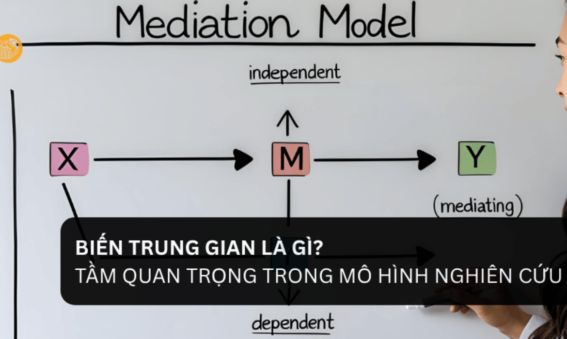 Biến Trung Gian Là Gì_ Tầm Quan Trọng Trong Mô Hình Nghiên Cứu