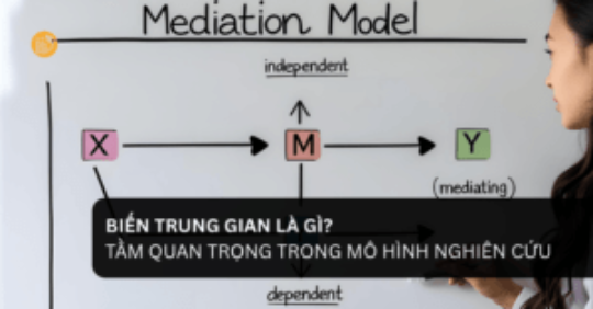 Biến Trung Gian Là Gì_ Tầm Quan Trọng Trong Mô Hình Nghiên Cứu