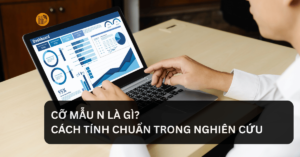 Cỡ Mẫu N Là Gì_ Cách Tính Chuẩn Trong Nghiên Cứu