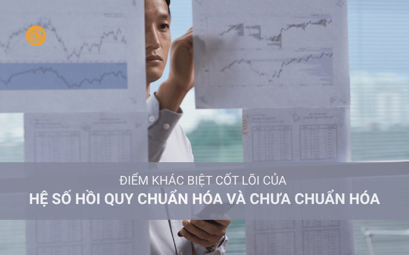 Điểm Khác Biệt Cốt Lõi của Hệ Số Hồi Quy Chuẩn Hóa và Chưa Chuẩn Hóa