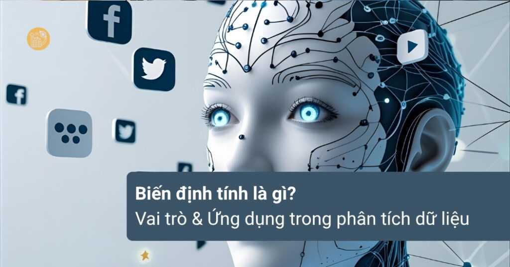 Bien-dinh-tinh-la-gi