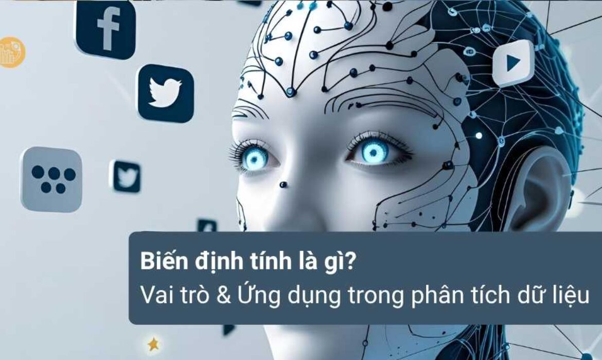 Bien-dinh-tinh-la-gi