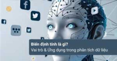 Bien-dinh-tinh-la-gi