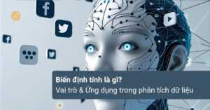 Bien-dinh-tinh-la-gi