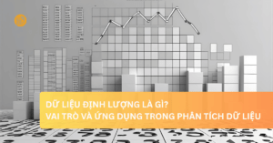 Dữ liệu định lượng là gì Dữ liệu định lượng là gì