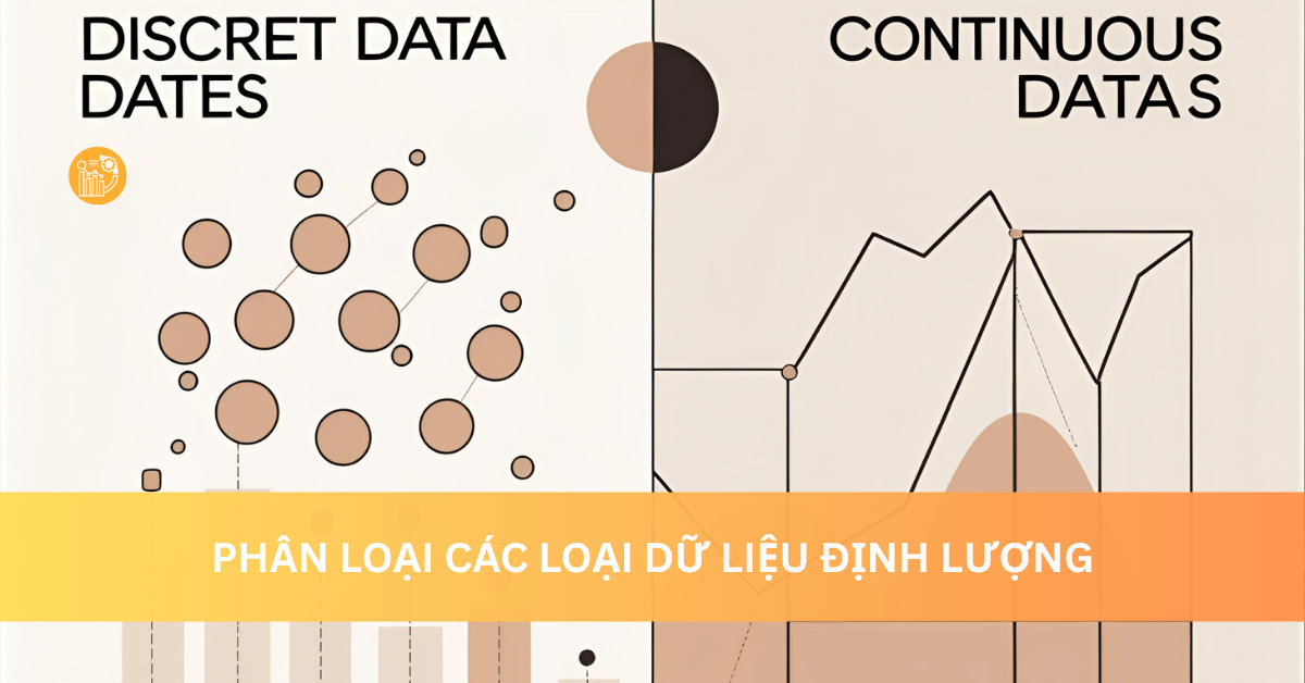 Phân loại các loại dữ liệu định lượng