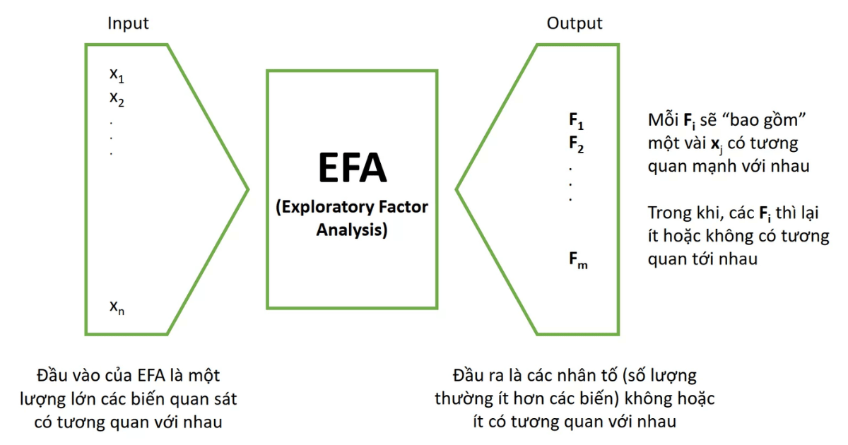 nhan-to-efa-la-gi