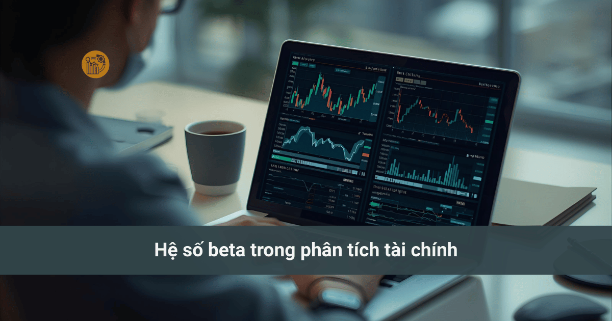 Hiểu Rõ về hệ số trong thống kê: beta, tải trọng nhân tố, coefficients là gì? He-so-beta-trong-phan-tich-tai-chinh