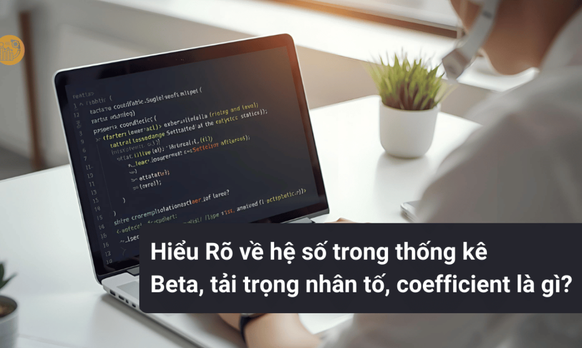 beta-tai-trong-nhan-to-coefficient-la-gi