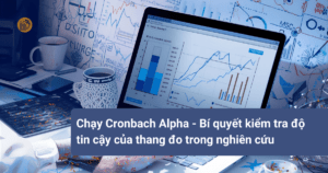 chay-cronbach-alpha